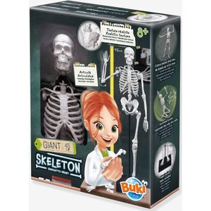 Skelet - BUKI meerkleurig