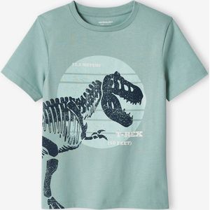 Jongensshirt met grote dinosaurusprint mintgroen