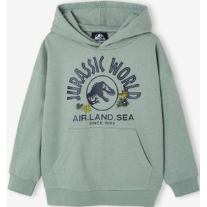 Jungen Kapuzensweatshirt JURASSIC WORLD korstmos