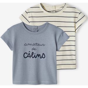 Set van 2 T-shirts voor baby, met korte mouwen grijsblauw