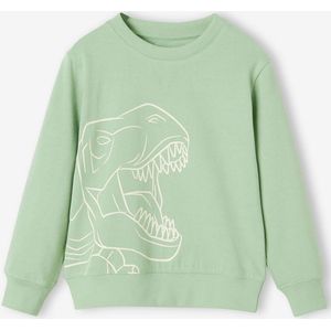 Jongenssweater Basics met grafische motieven pistache