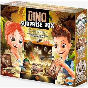 Dino verrassingsdoos - TAF TOYS meerkleurig