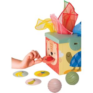 Magic Box - TAF TOYS meerkleurig