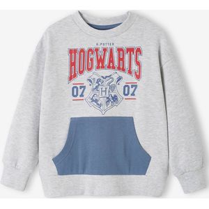 Jongenssweater Harry Potter� gem�leerd grijs