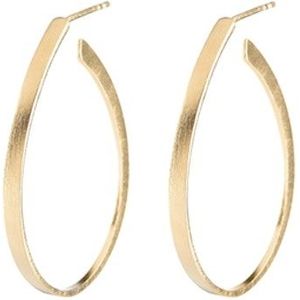Oval Creol earrings