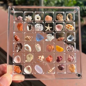 TEMU Eine 32/64 Gitter Acryl Schaukasten, Transparente Schaukasten für Diamant Edelstein Ohrringe Schmuck, Schmuck Aufbewahrung Schaukasten