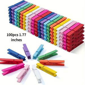 TEMU 100 Stück bunter Holzclips DIY dekorative Foto-Clips Holzfotos oder Kleider-Clips, kombinierbar kleine bunte Holzdekorative geschlossene Clips, Kleiderbügel, Kleiderbügel