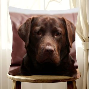 TEMU Schokoladenlabrador 18x18"" Weicher Plüsch-Kissenbezug - Mit Reißverschluss, Maschinenwaschbar für Sofa- & Schlafzimmerdekoration