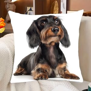 TEMU Dackel Drahtiger Hund 18x18 Plüsch Kissenbezug - Weich, Maschinenwaschbar, Reißverschluss für Zuhause & Büro (Kissen Nicht Enthalten)