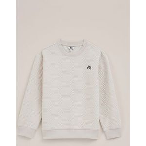 WE Fashion - Jongens trui met structuur - Relaxed Fit - Beige - Katoen - Maat: 98/104