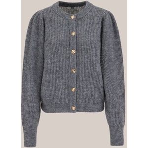 WE Fashion - Dames vest van wolmix met gouden knopen - Regular fit - Grijs -  Maat: XS