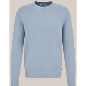 WE Fashion - Heren regular fit trui met structuur - Regular fit - Lichtblauw - Katoen - Maat: XS