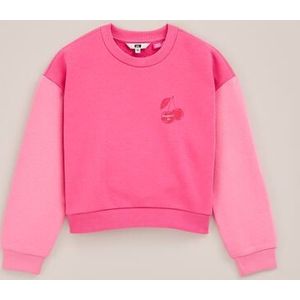 WE Fashion - Djamila X Tina - Oversized Sweater - Felroze - Katoen