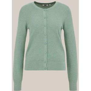 WE Fashion - Dames gebreid vest met structuur - Regular fit - Mintgroen - Biologisch katoen - Maat: XS