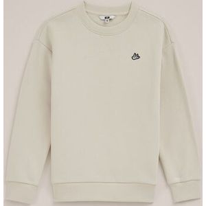 WE Fashion - Jongens regular fit sweater - Regular fit - Beige - Katoen - Maat: 98/104