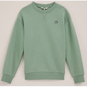 WE Fashion - Jongens regular fit sweater - Regular fit - Mintgroen - Katoen - Maat: 98/104