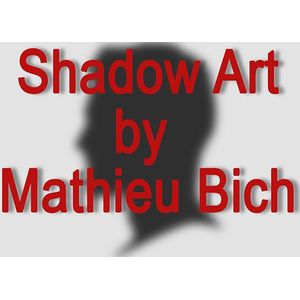 Shadow Art (Bat Man) by Mathieu Bich