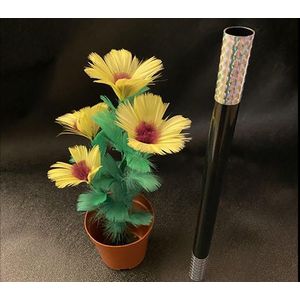 Wand to Sunflower Large by Alan Wong