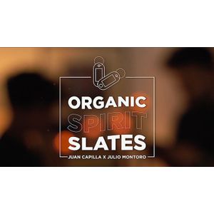 Organic Spirit Slates by Juan Capilla and Julio Montoro