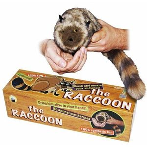 The Raccoon