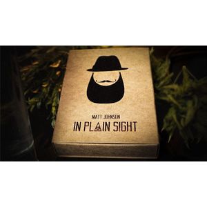 In Plain Sight by Matt Johnson