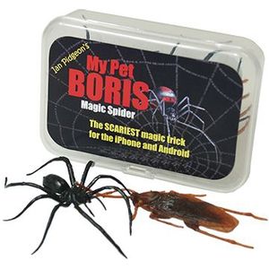 Magic Spider - My pet boris