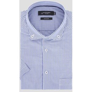 Blauw geruit hemd - Regular fit