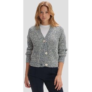 Blauw-witte gemêleerde cardigan