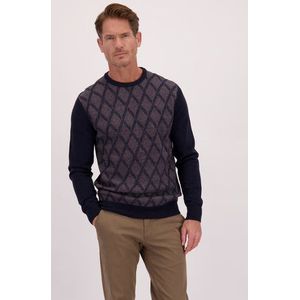 Blauwe trui met ruiten