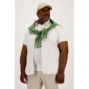 Wit hemd met fijne strepen