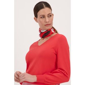 Fijn rood truitje met V-hals