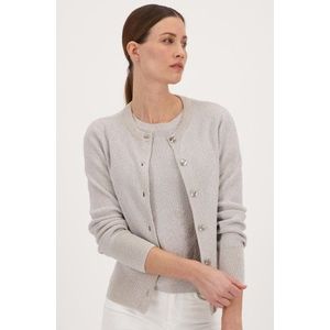 Zilveren cardigan