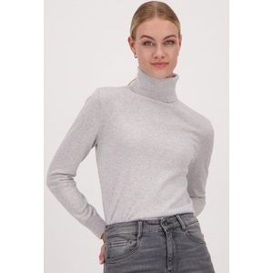 Fijn grijs truitje met rolkraag