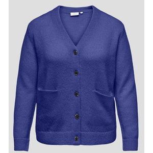 Blauwe cardigan met knopen