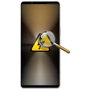 Sony Xperia 1 VI Diagnose