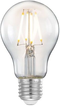 LABEL51 Lichtbron Kooldraadlamp - Glas - Bol M