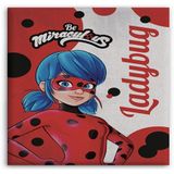Disney Miraculous Fleece Plaid 100 x 150 cm