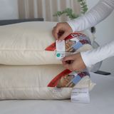 Schaperie BonTon- Krachtig Zuiver Scheerwollen Hoofdkussen - Puur Wollen Kussen - 60x70cm