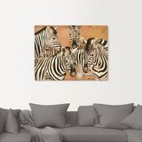 Artland Wandbild »Zebras«, Wildtiere, (1 St.), als Leinwandbild, Poster in verschied. Größen