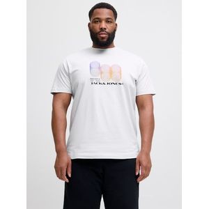Jack & Jones PlusSize Print-Shirt »JCOCALMA TEE SS CREW NECK FST PLS«, mit Logo Print