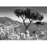 Papermoon Fototapete »Landschaft schwarz & weiß«