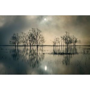 Papermoon Fototapete »Photo-Art JOANNE_FLJ, SEESTSSEE«