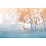 Papermoon Fototapete »Photo-Art SIMOON, ELCH IN NEBEL VERLOREN«
