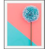 queence Bild »Pusteblume«, Blumen-Blumenbilder-Pflanzen-Kunst, HD Premium Poster-Druck inkl. Holzrahmen