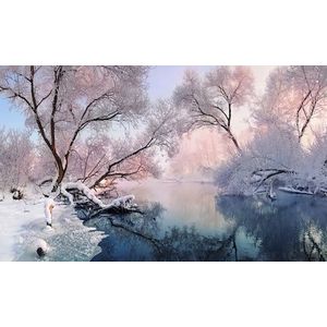 Papermoon Fototapete »Fluss in Winterlandschaft«