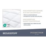 SPESSARTTRAUM Daunenbettdecke »Laax Bettdecke 135x200, 155x220 cm und viele weitere Größen«, leicht, Füllung 100% Daunen, Bezug 100% Baumwolle, (1 St.), Bettdecken Ganzjahresbettdecke, Winter, Sommer