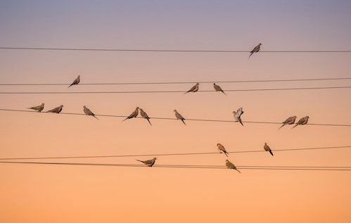 Papermoon Fototapete »Photo-Art JOHN FAN, MUSIK DES LICHTS«
