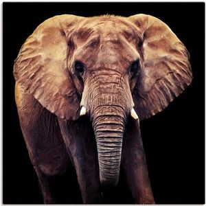 Artland Leinwandbild »Elefant«, Wildtiere, (1 St.), auf Keilrahmen gespannt