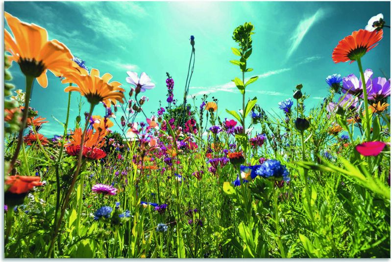 Artland Wandbild »Buntes Blumenfeld«, Blumenwiese, (1 St.), als Alubild, Outdoorbild, Leinwandbild, Poster, Wandaufkleber