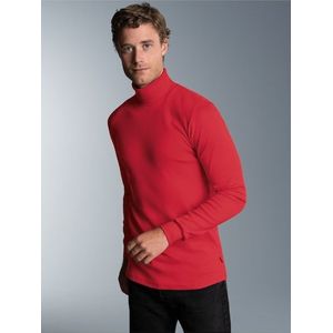 Trigema Rollkragenshirt »TRIGEMA Langarm Ski- und Sport-Rollkragenpullover«, (1 tlg.)